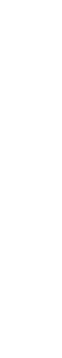 DJI Lightbridge 2